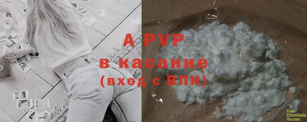 PSILOCYBIN Ладушкин