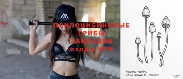 стафф Кукмор