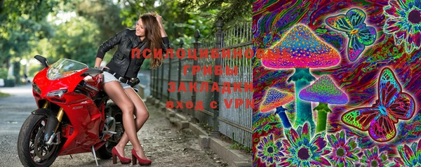 стафф Кукмор